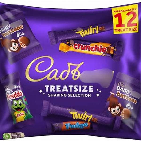 Cadbury Family Treatsize 223G