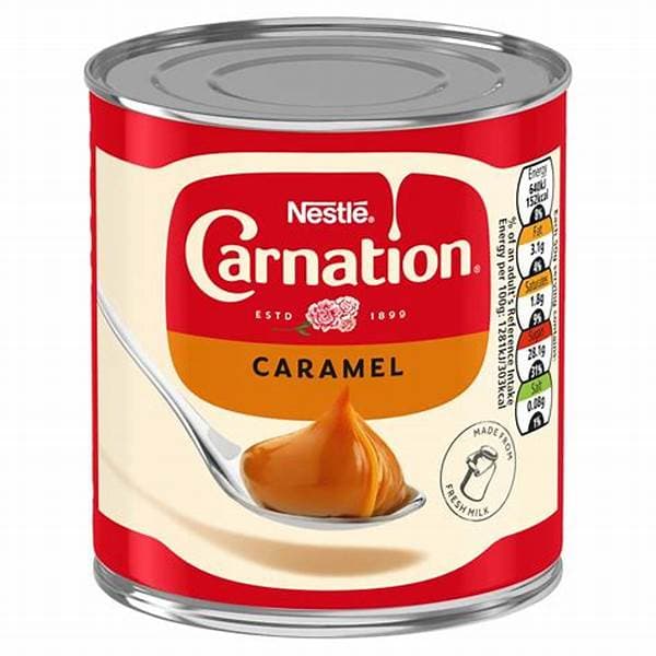 Carnation Caramel 397g