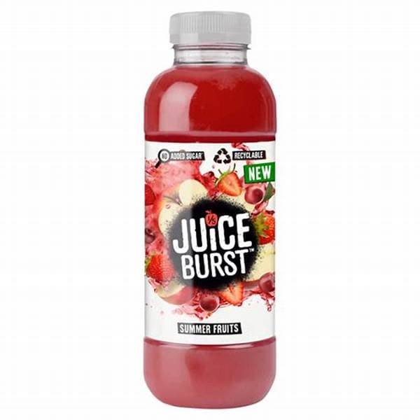 Juice Burst Summer Fruits 500ml