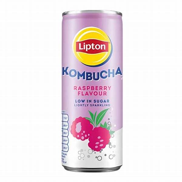 Lipton Kombucha Can - Raspberry 250Ml