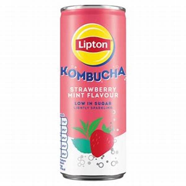 Lipton Kombucha Can - Strawberry Mint 250Ml