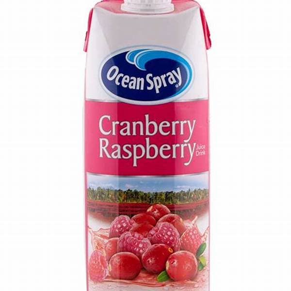 Ocean Spray Cranberry Raspberry PM 1.99 1ltr