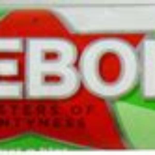 Trebor Softmints Peppermint PM 0.69 44.9g