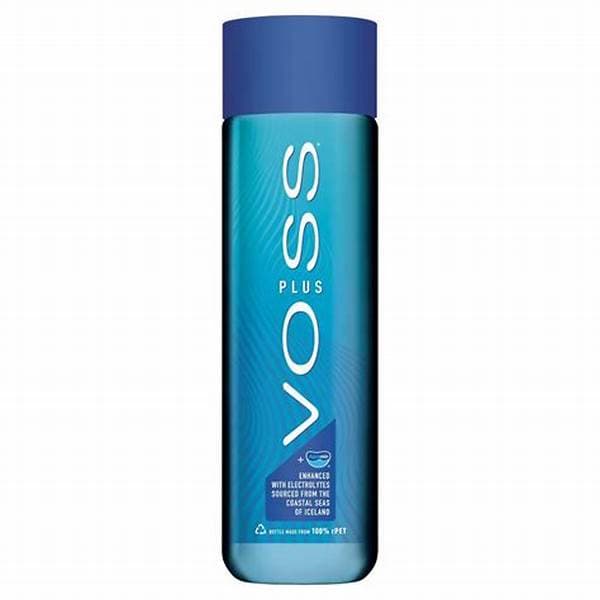 Voss Water Plus 500ml