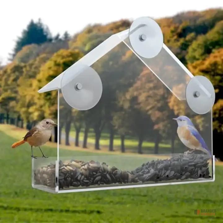 Acrylic Bird Feeders - Durable and Transparent