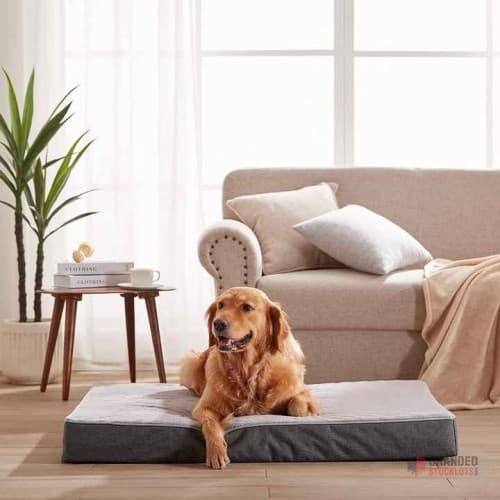 Premium Chew-Resistant Dog Beds - Durable and Comfortable