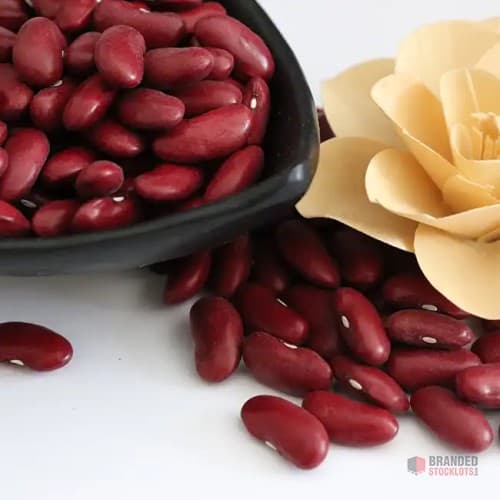 Premium Dark Red Kidney Beans - Bulk Supply