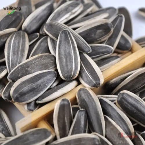 Premium Organic Raw Sunflower Seeds