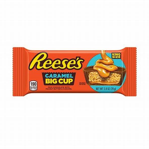 Reeses Big Cup Caramel 16 X 79G