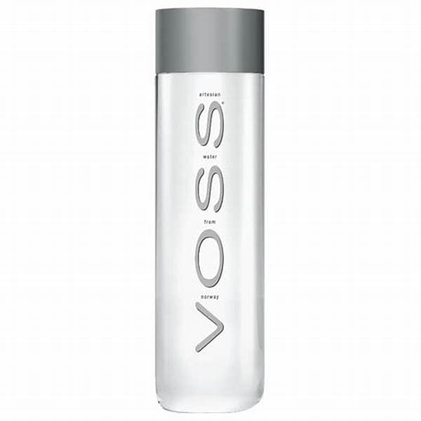 Voss Water Still PET 500ml