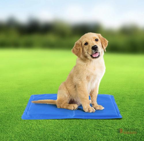 800 pieces Vivo Technologies Hello Summer Dog Cooling Mat - Non-Toxic Gel Self Cooling Pad, Ideal for Dogs in Hot Summer - thumbnail image - Premier B2B Stocklot Marketplace